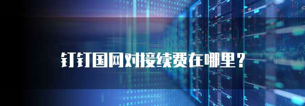 钉钉国网对接续费在哪里？