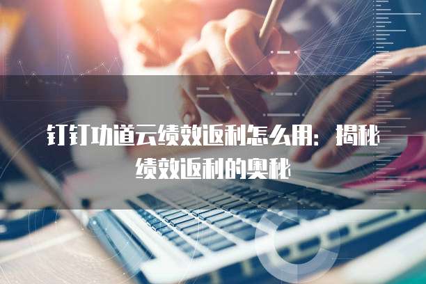 钉钉功道云绩效返利怎么用:揭秘绩效返利的奥秘