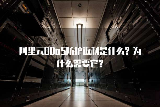阿里云DDoS防护返利是什么?为什么需要它?