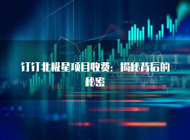 钉钉北极星项目收费：揭秘背后的秘密