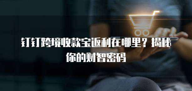 钉钉跨境收款宝返利在哪里?揭秘你的财智密码