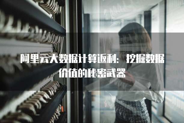 阿里云大数据计算返利:挖掘数据价值的秘密武器