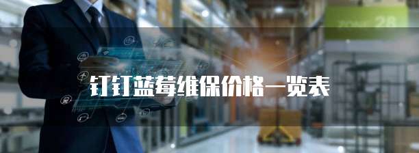 钉钉蓝莓维保价格一览表