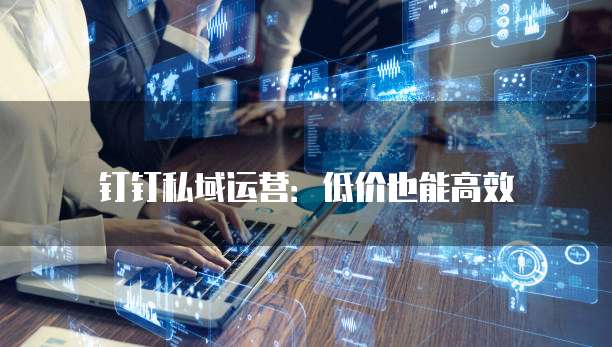 钉钉私域运营：低价也能高效