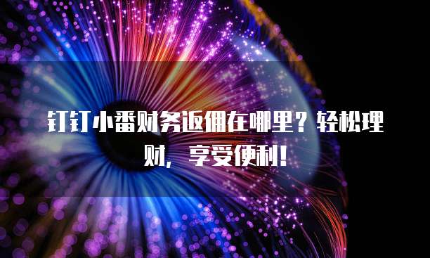 钉钉小番财务返佣在哪里？轻松理财，享受便利！