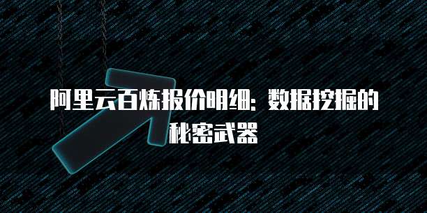 阿里云百炼报价明细: 数据挖掘的秘密武器