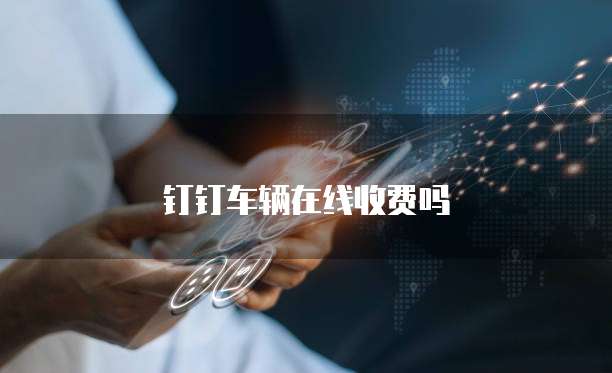 钉钉车辆在线收费吗