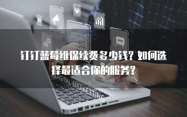 钉钉蓝莓维保续费多少钱?如何选择最适合你的服务?