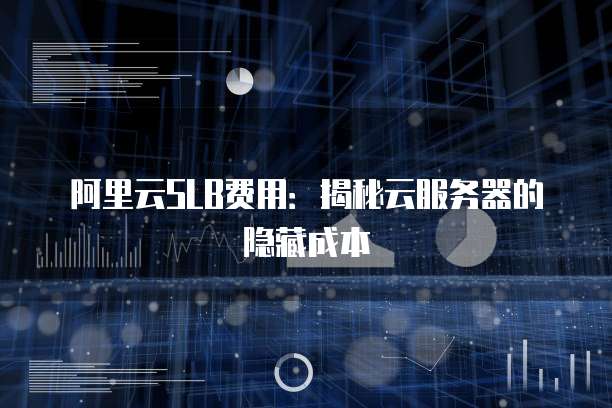 阿里云SLB费用：揭秘云服务器的隐藏成本