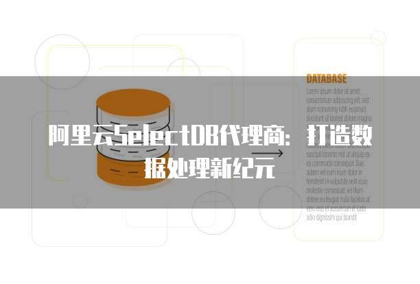 阿里云SelectDB代理商:打造数据处理新纪元