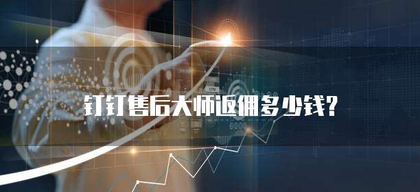钉钉售后大师返佣多少钱？
