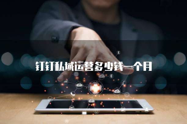 钉钉私域运营多少钱一个月