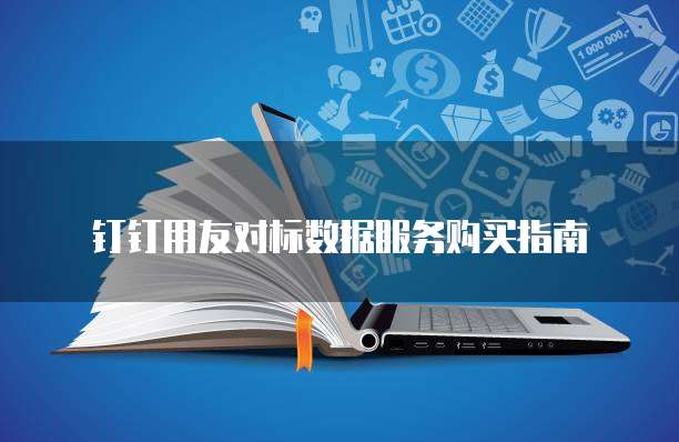 钉钉用友对标数据服务购买指南