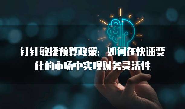 钉钉敏捷预算政策:如何在快速变化的市场中实现财务灵活性