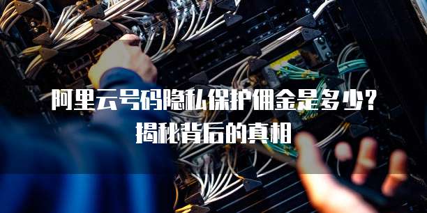 阿里云号码隐私保护佣金是多少?揭秘背后的真相