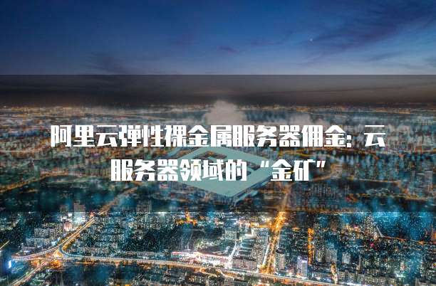 阿里云弹性裸金属服务器佣金: 云服务器领域的“金矿”