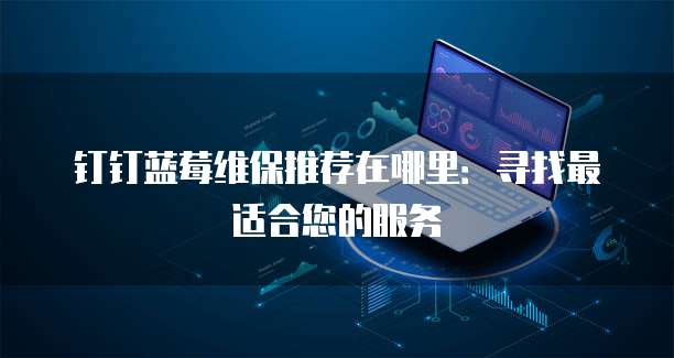 钉钉蓝莓维保推荐在哪里:寻找最适合您的服务