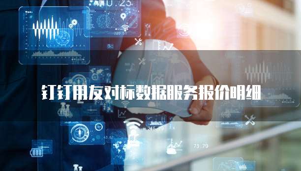 钉钉用友对标数据服务报价明细