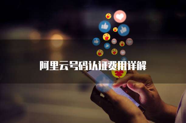 阿里云号码认证费用详解