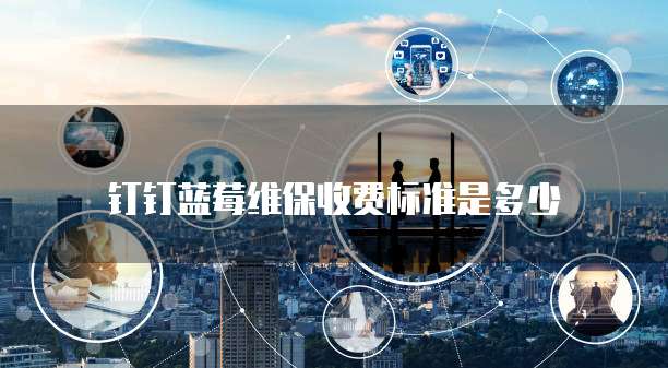 钉钉蓝莓维保收费标准是多少