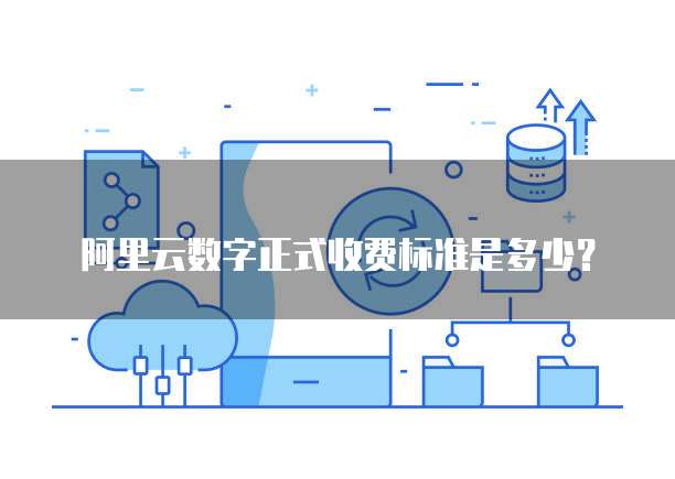 阿里云数字正式收费标准是多少?