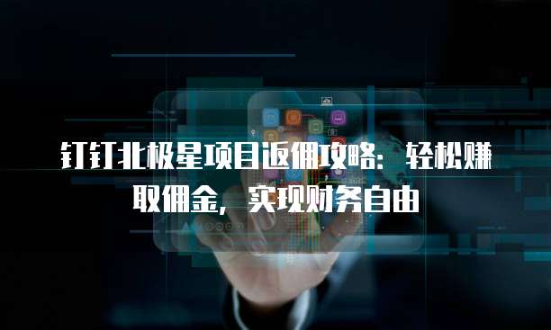 钉钉北极星项目返佣攻略:轻松赚取佣金,实现财务自由