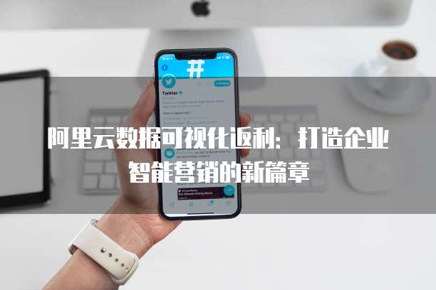 阿里云数据可视化返利：打造企业智能营销的新篇章