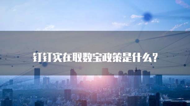 钉钉实在取数宝政策是什么?