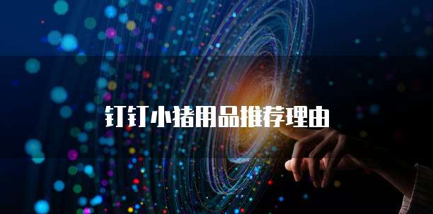 钉钉小猪用品推荐理由