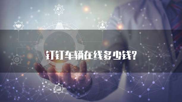 钉钉车辆在线多少钱？