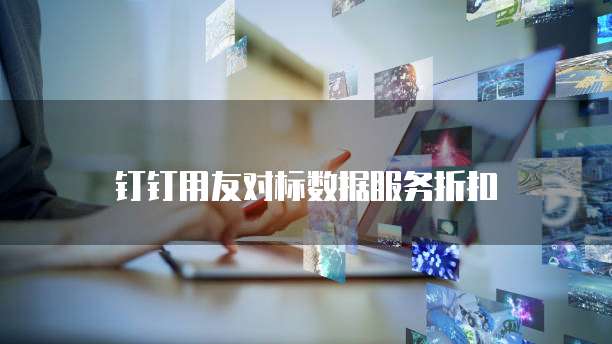 钉钉用友对标数据服务折扣