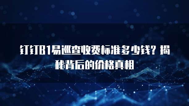 钉钉B1易巡查收费标准多少钱?揭秘背后的价格真相