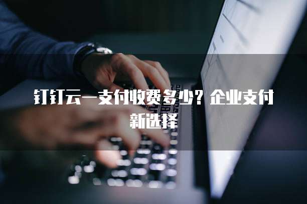 钉钉云一支付收费多少?企业支付新选择