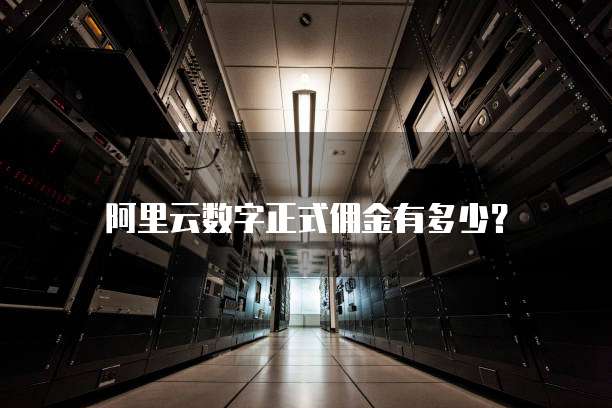 阿里云数字正式佣金有多少?
