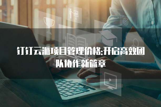 钉钉云派项目管理价格:开启高效团队协作新篇章