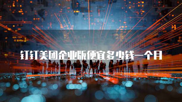 钉钉美团企业版便宜多少钱一个月