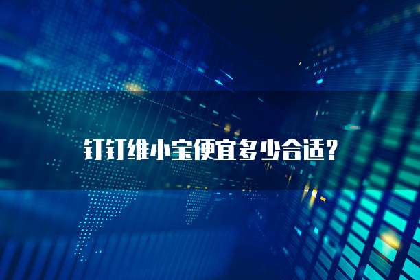钉钉维小宝便宜多少合适?