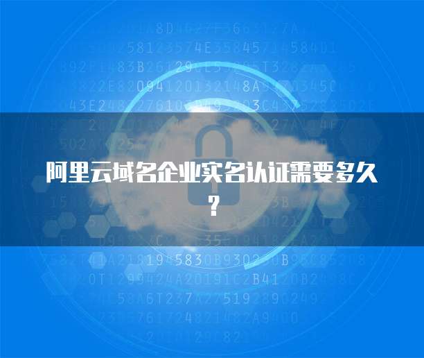 阿里云域名解析到服务器的网络地址是多少?