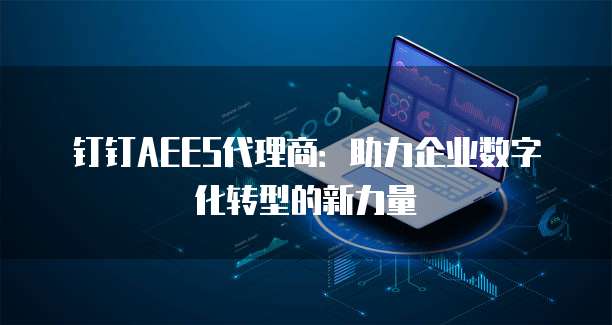 钉钉AEES代理商:助力企业数字化转型的新力量
