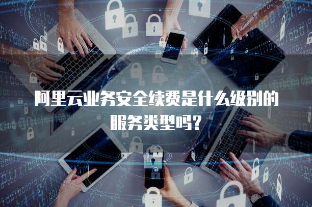 阿里云业务安全续费是什么级别的服务类型吗?