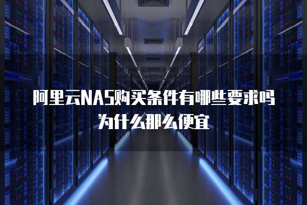 阿里云NAS购买条件有哪些要求吗为什么那么便宜