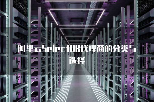 阿里云SelectDB代理商的分类与选择