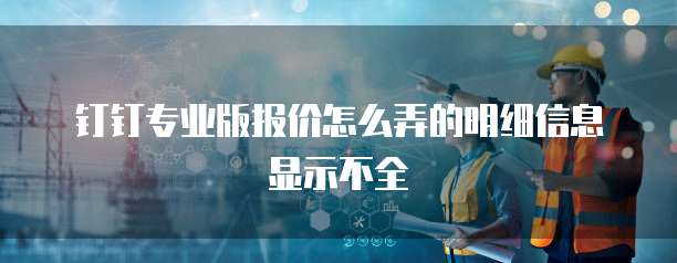 钉钉专业版报价怎么弄的明细信息显示不全