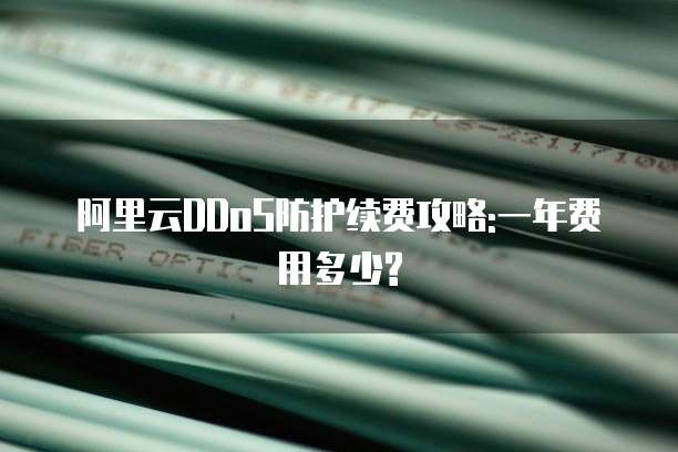 阿里云DDoS防护续费攻略:一年费用多少?