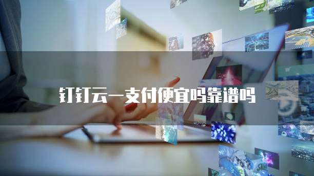 钉钉云一支付便宜吗靠谱吗