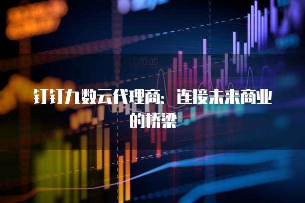 钉钉九数云代理商:连接未来商业的桥梁