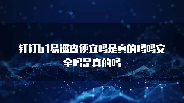 钉钉b1易巡查便宜吗是真的吗吗安全吗是真的吗