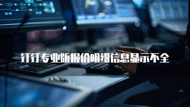 钉钉专业版报价明细信息显示不全