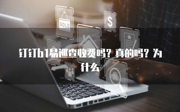 钉钉b1易巡查收费吗?真的吗?为什么