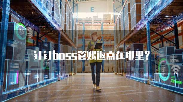 钉钉boss管账返点在哪里?